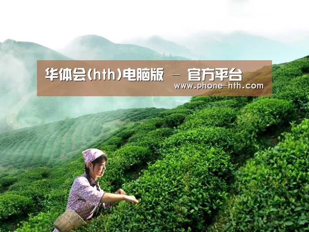 华体会(hth)电脑版 - 官方平台