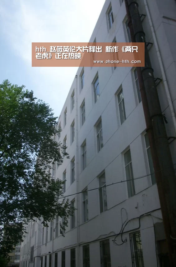 hth_赵薇英伦大片释出 新作《两只老虎》正在热映(图1) 华体会