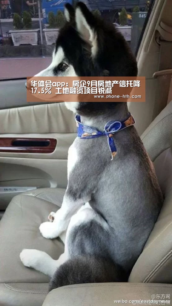 华体会app