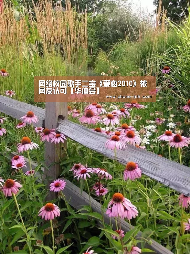网络校园歌手二宝《爱恋2010》被网友认可【华体会】(图1) 网络校园歌手二宝《爱恋2010》被网友认可【华体会】(图1)