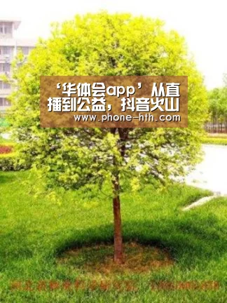 ‘华体会app’从直播到公益,抖音火山版头部主播孟想的成长之路(图3) 华体会