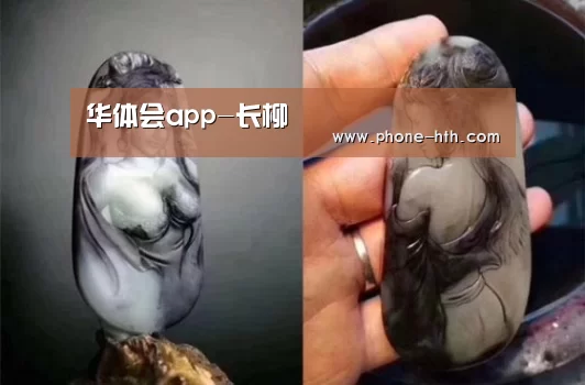 华体会app-长柳(图1) 华体会app