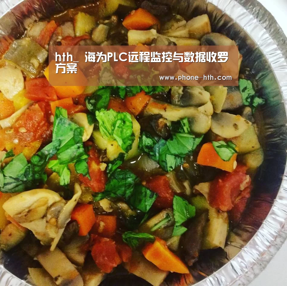 hth_
海为PLC远程监控与数据收罗方案(图3) 华体会棋牌